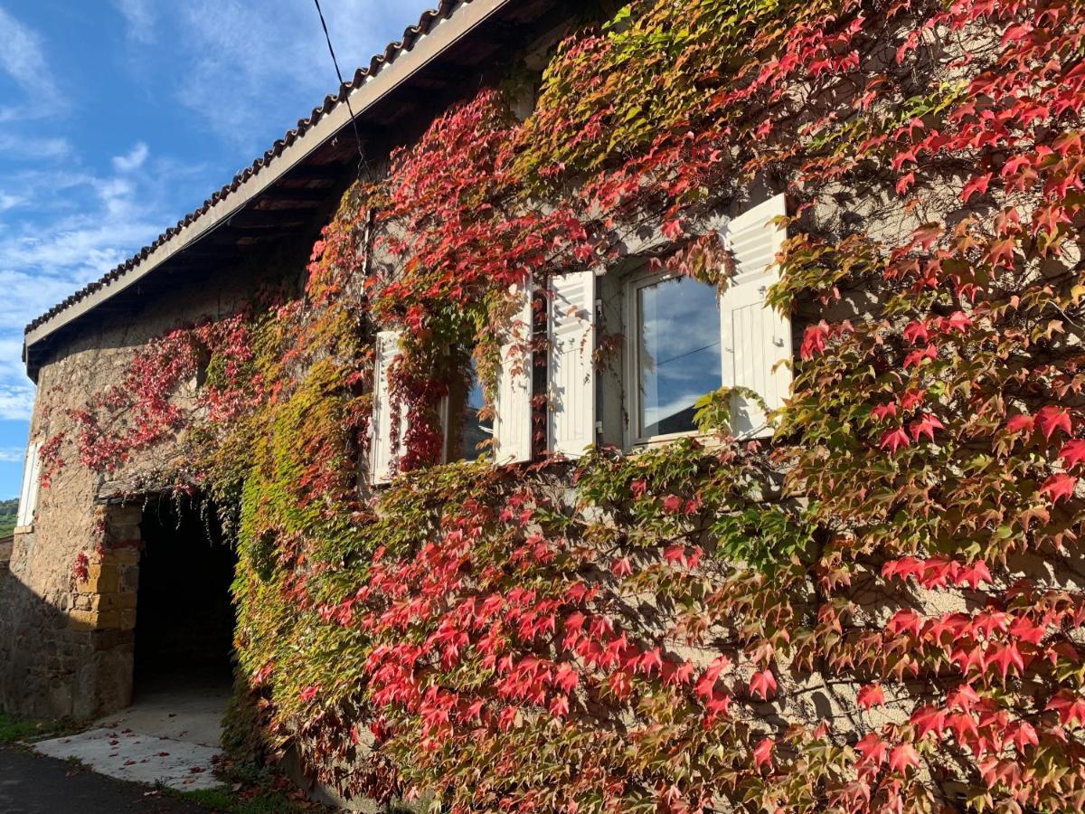 Le Gite De Buffetieres Saint-Romain-de-Popey 外观 照片