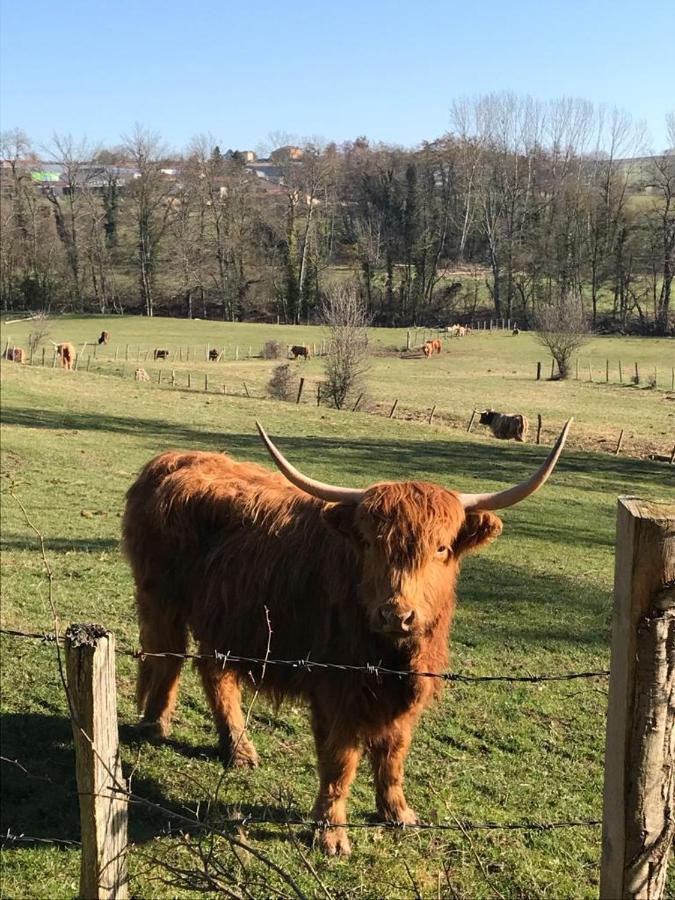 Le Gite De Buffetieres Saint-Romain-de-Popey 外观 照片